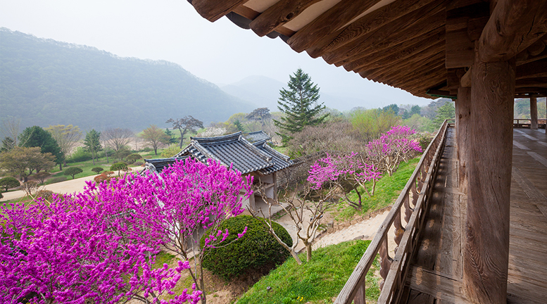 Seowon, Korean Neo-Confucian Academies