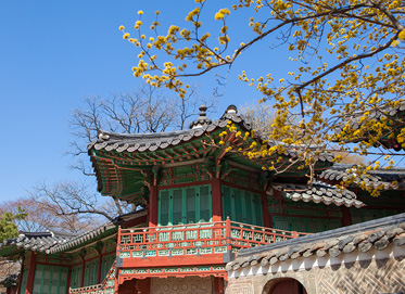 Changdeokgung Palace