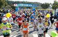 제3회 군위 삼국유사 전국마라톤 대회