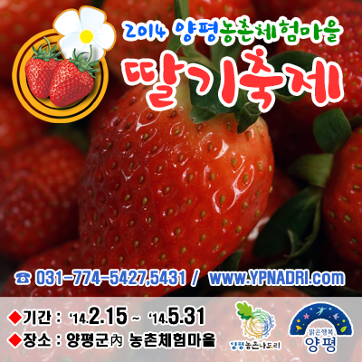 2014 양평 딸기축제안내 이미지