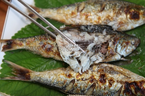 서부산IC(명지) 이미지