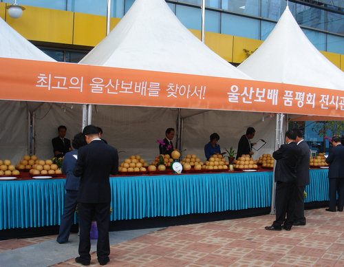 울산원예농업협동조합 하나로마트 이미지