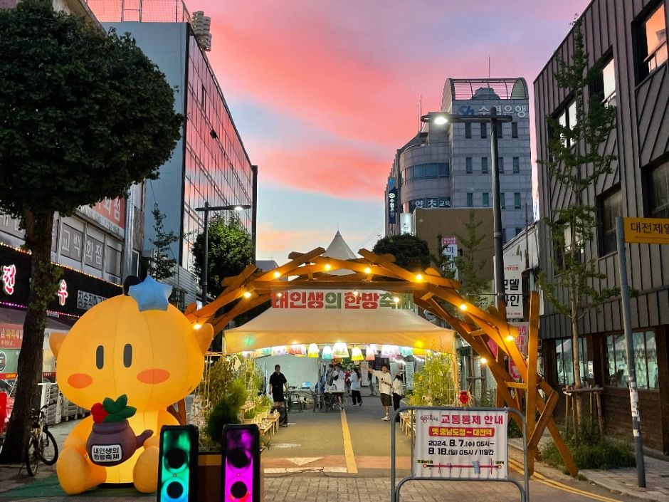 내인생의 한방축제 관련 이미지