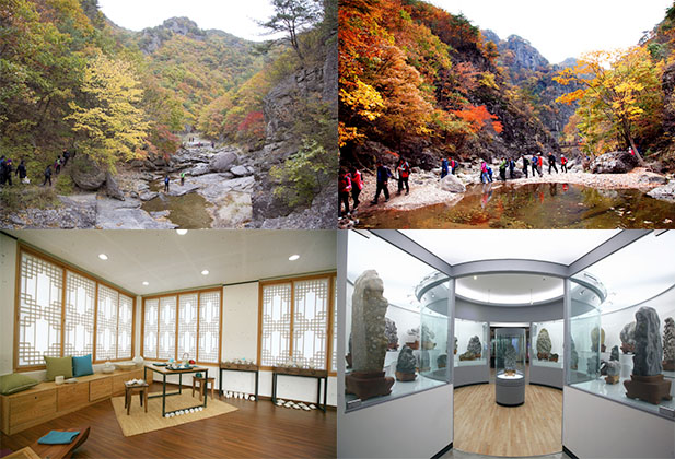 주왕산의 기암절벽과 어우러진 계곡 단풍길, 절골계곡