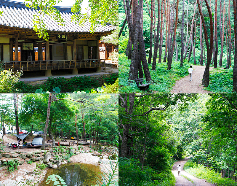 오지 마을 초록 힐링, 검마산자연휴양림과 영양자작나무숲