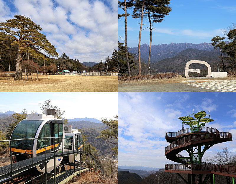 열두 굽이 봄을 깨워 달리는 보은 말티재
