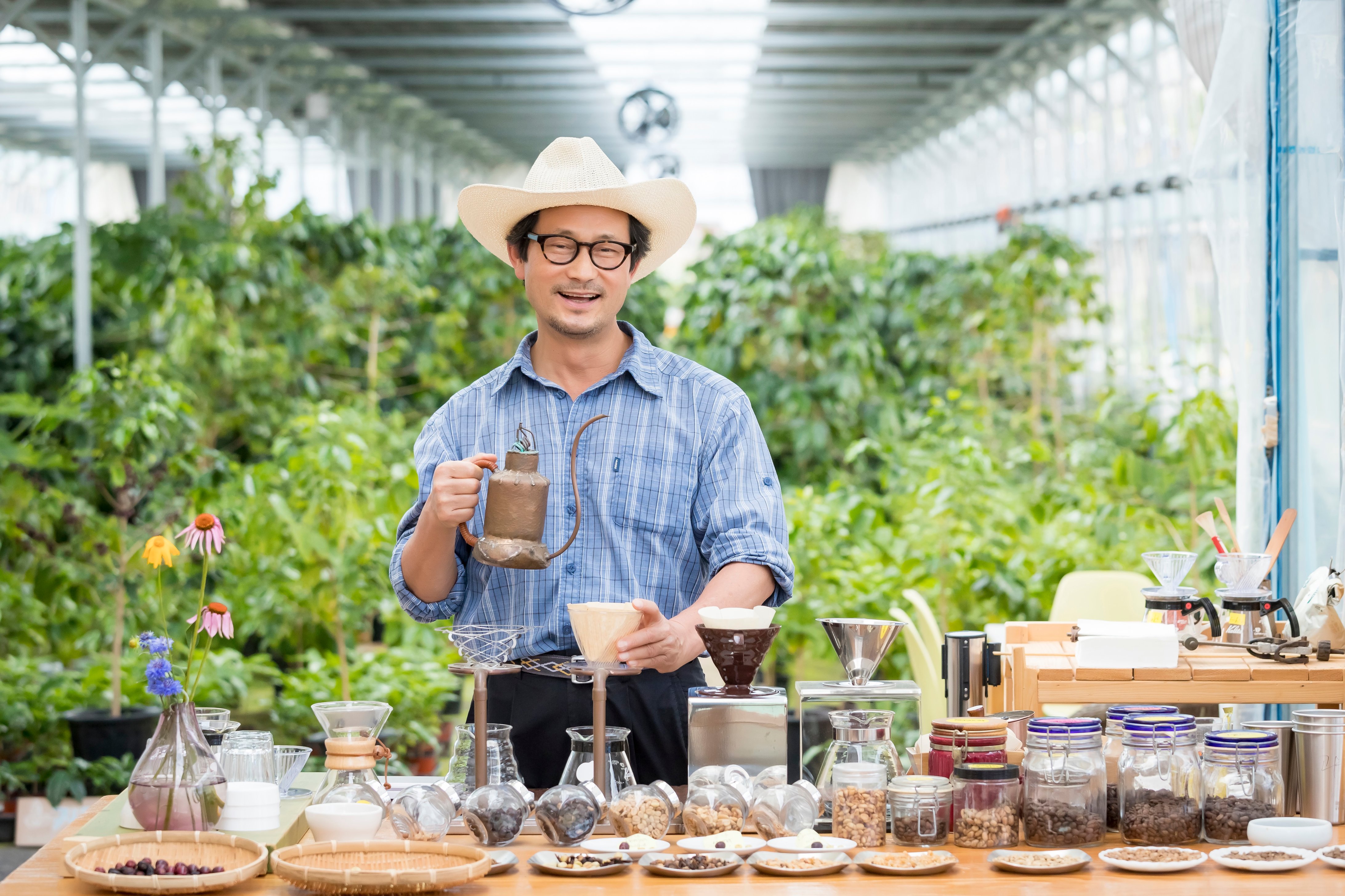 Bucking naysayers, Korean farmer grows coffee beans in greenhouse Photo