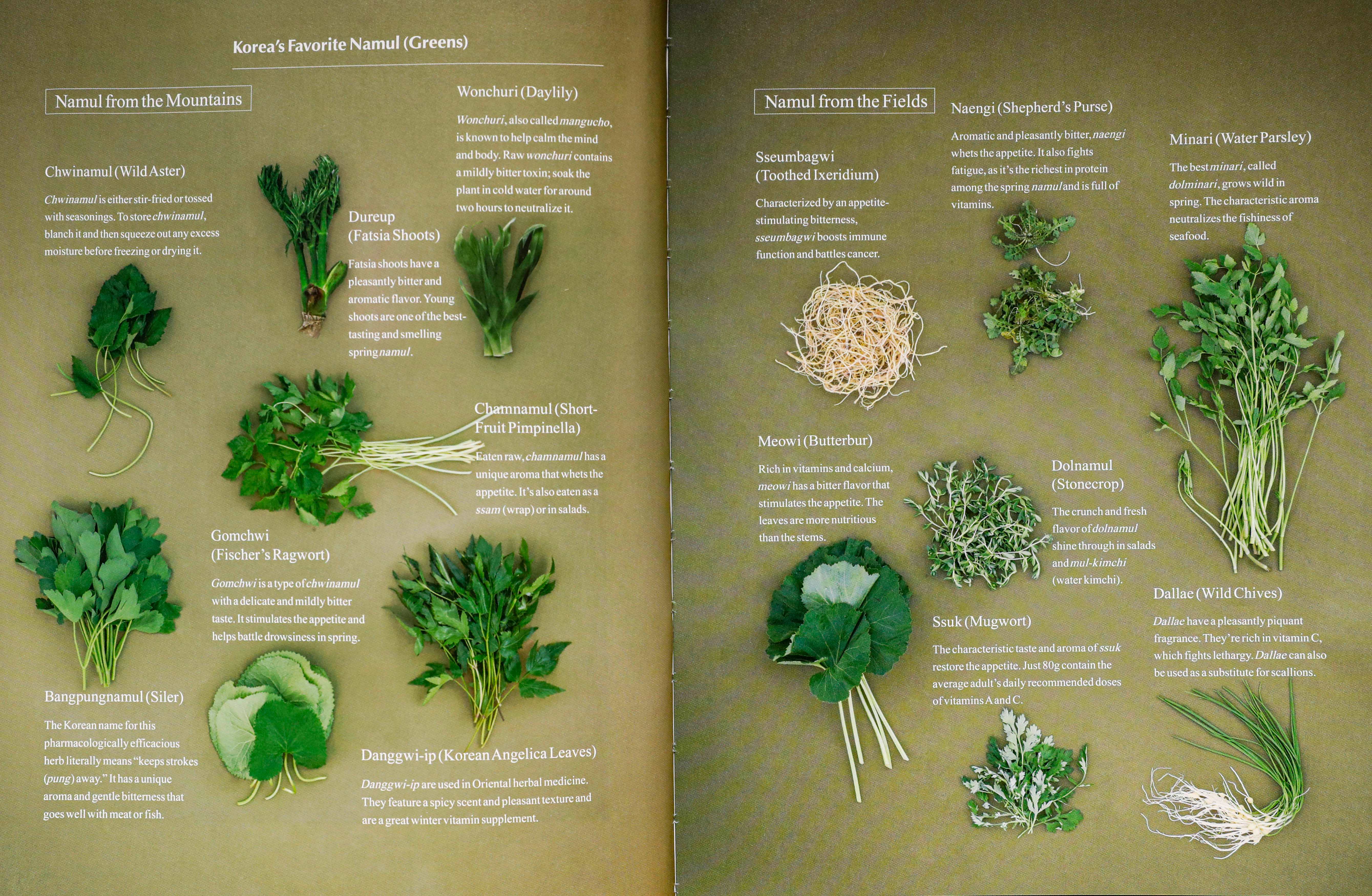 [Feb] Rich in edible greens, Korea is a ‘namul nation’ Photo