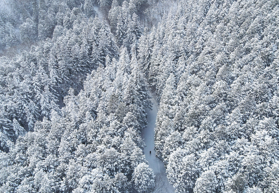 [Dec] Snowy landscapes, ice sports spice up winter in Korea Photo