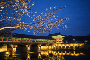 [Apr] A day in Gyeongju: Always perfect for slow travel, especially in spring Photo