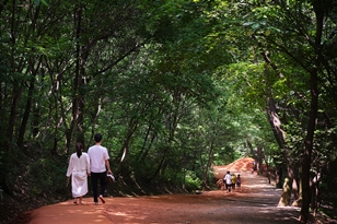 Slow walking on Gyejoksan Mountain Photo