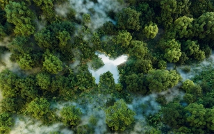 Greening the skies: Korea’s leap into sustainable aviation Photo