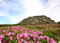 한라산