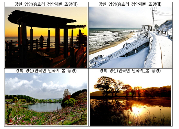 사진1-강원 양양(용호리 정암해변 조망대), 사진2-강원 양양(용호리 정암해변 조망대), 사진3-경북 경산(반곡면 반곡지 봄 풍경), 사진4-경북 경산(반곡면 반곡지 봄 풍경)