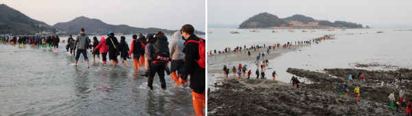 진도 신비의 바닷길축제 - 바닷길 건너기