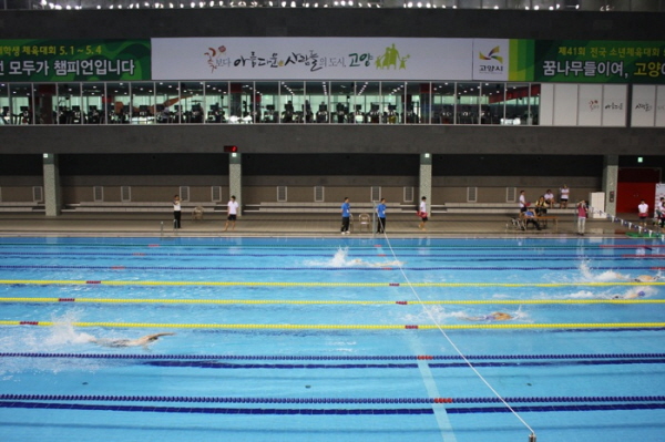 전국장애학생체육대회 수영경기