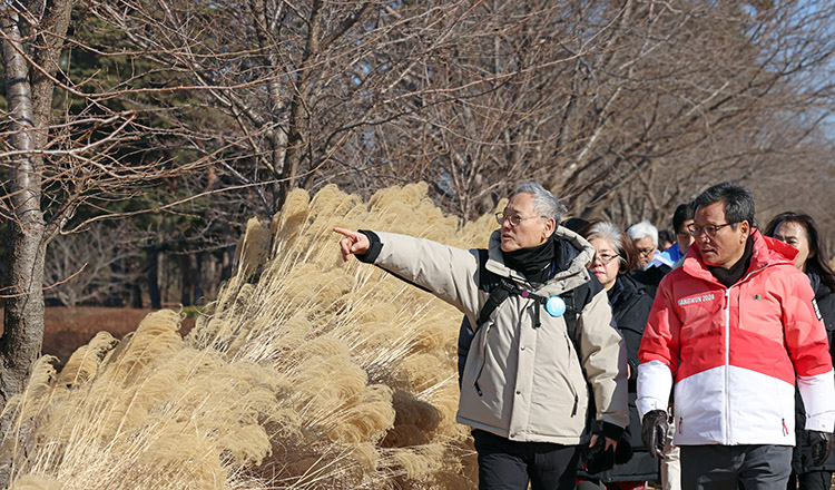 로컬로 강릉