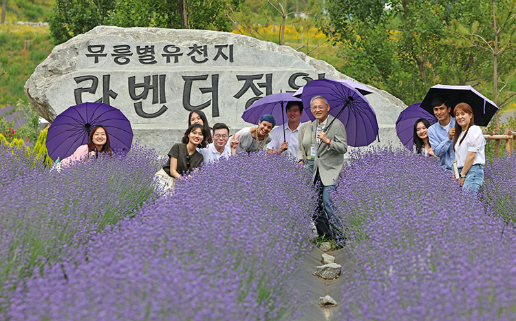 무릉별유천지 라벤더 정원에서 보라색 라벤더 꽃을 배경으로 참가자들과 보라색 우산을 쓰고 있는 유인촌 장관