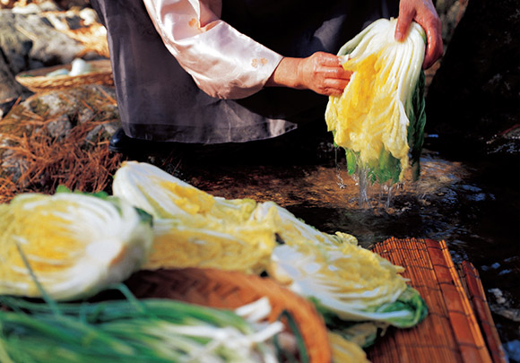 A woman salts cabbage for kimchi