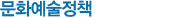 문화예술정책