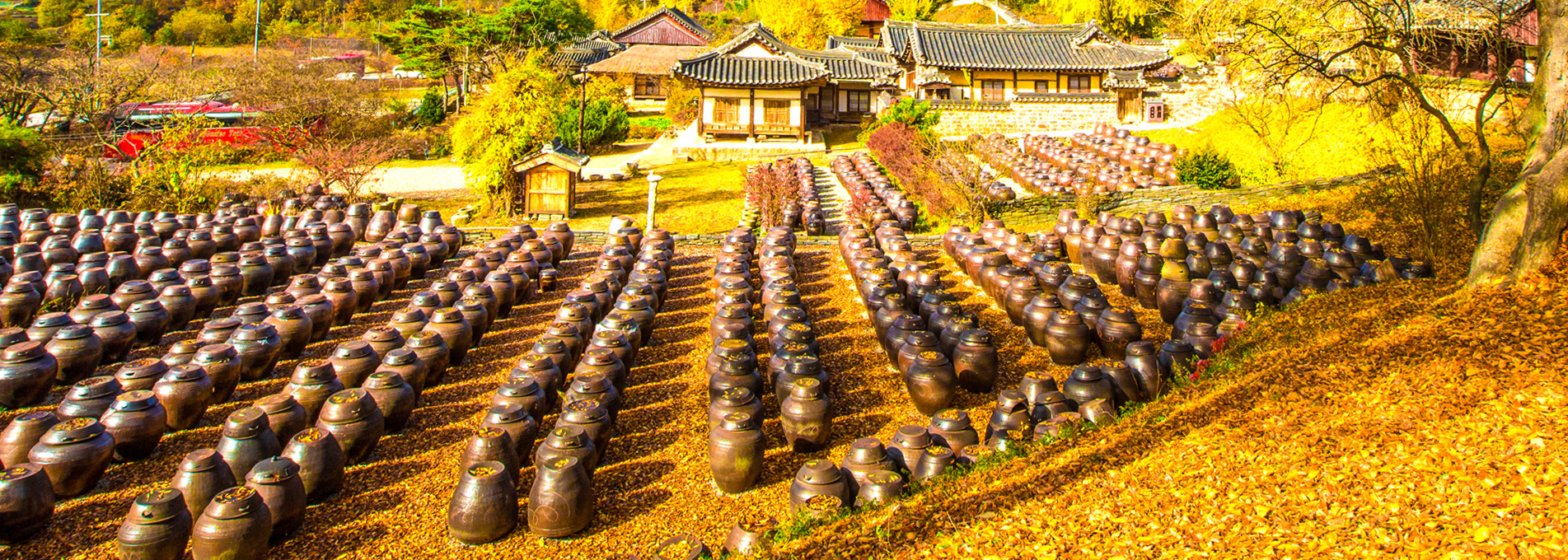 写真: 论山明斋古宅