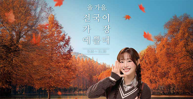 올 가을, 전국이 가장 예쁠때
9.16~11.30