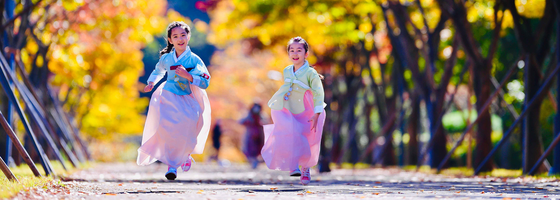 文殊七叶树丹枫街 [ⓒPhoto Korea - Cho Dong-hyeon]