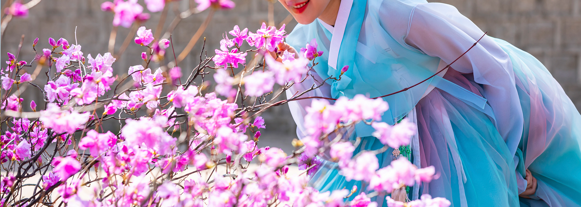 韓服, 韓国固有の衣裳