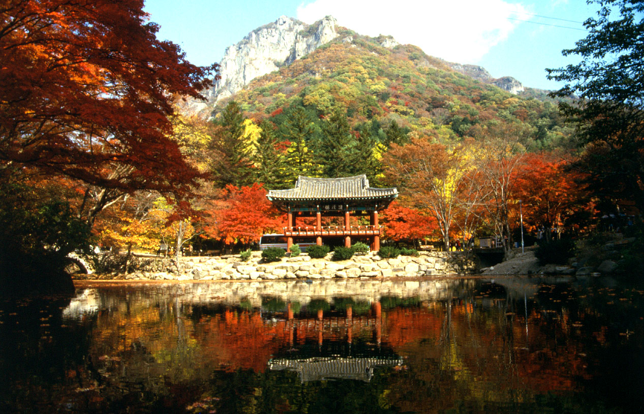 지역축제