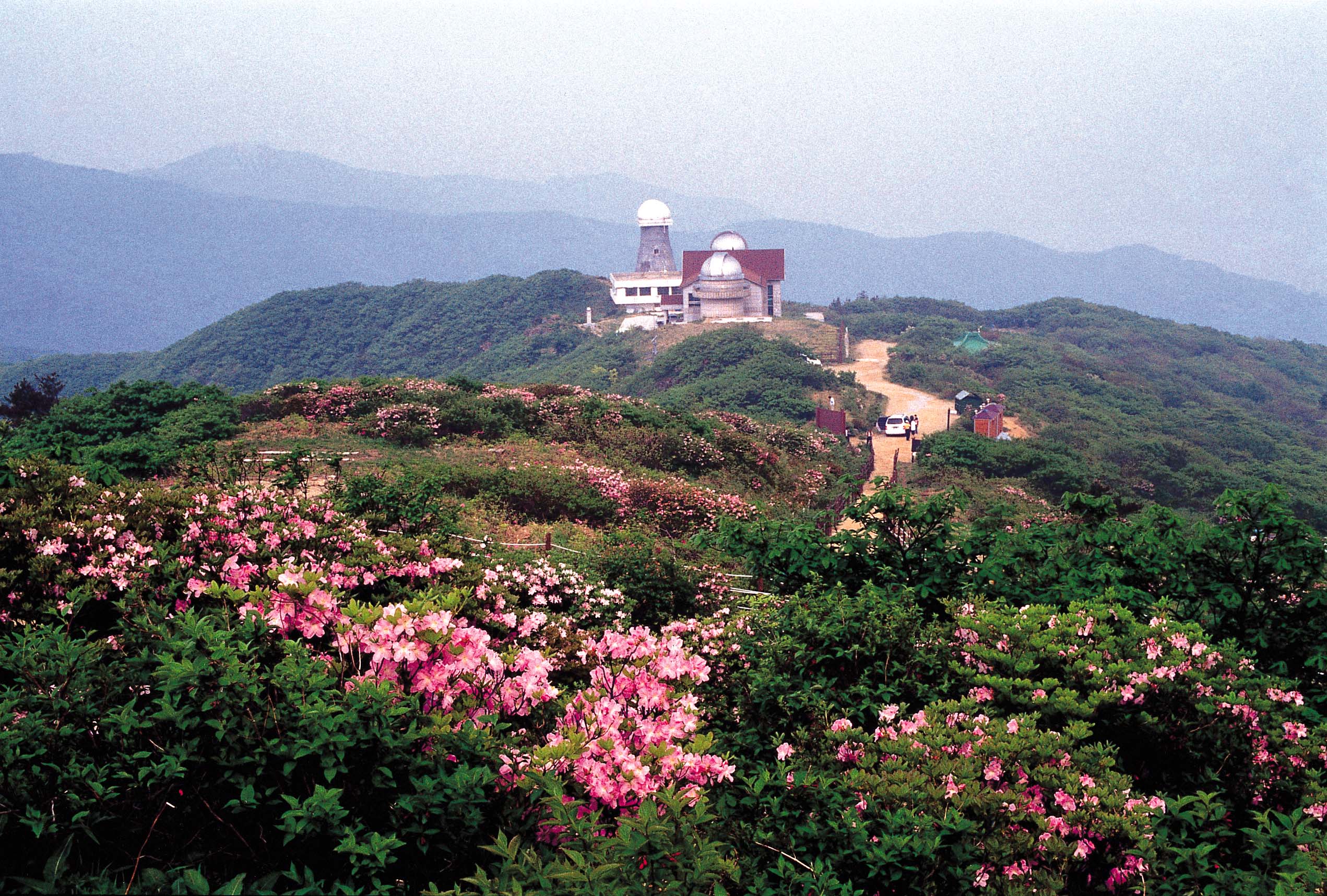 https://www.mcst.go.kr/web/s_culture/festival/festivalView.jsp?pSeq=2268 지역축제