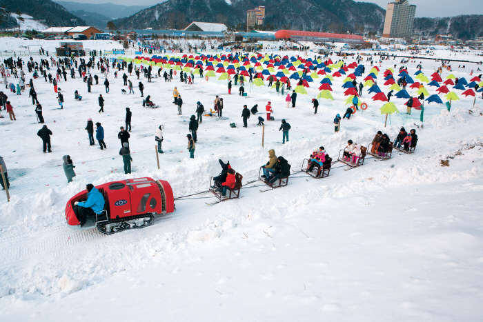 평창송어축제 2020 관련 이미지