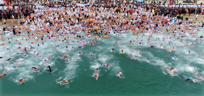 해운대 북극곰 축제 (Haeundae Polar Festival) 2019 관련 이미지