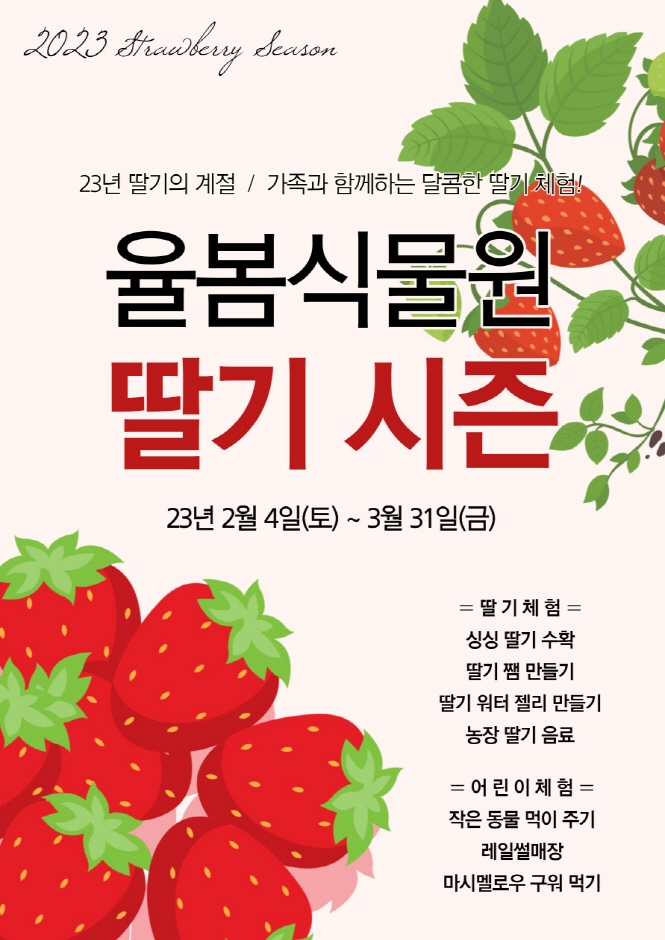 율봄식물원 딸기 시즌