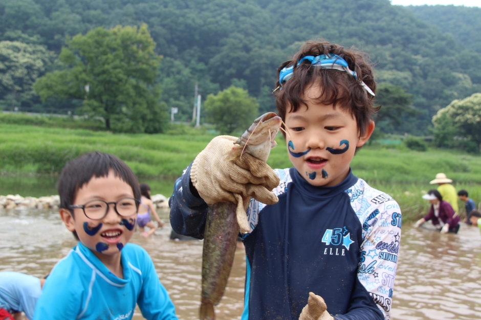 양평메기수염축제 관련 이미지