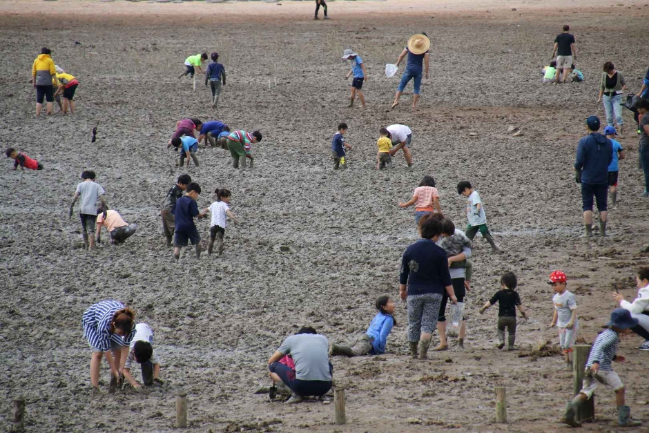 무안 황토 갯벌축제 관련 이미지