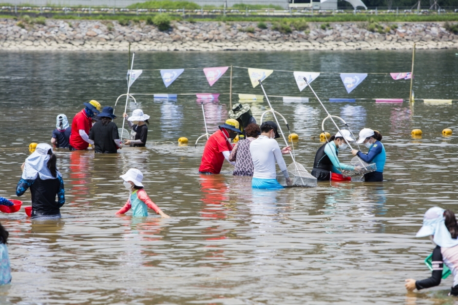 Hadong Seomjingang Cultural Jaecheop Festivalに関連する画像