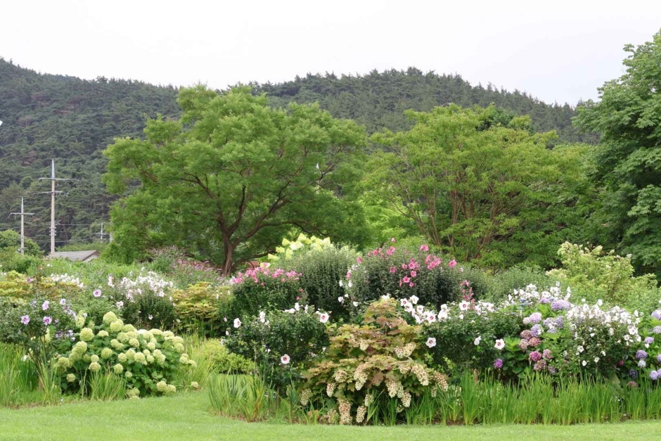 Images related to Cheonripohang Mugunghwaho