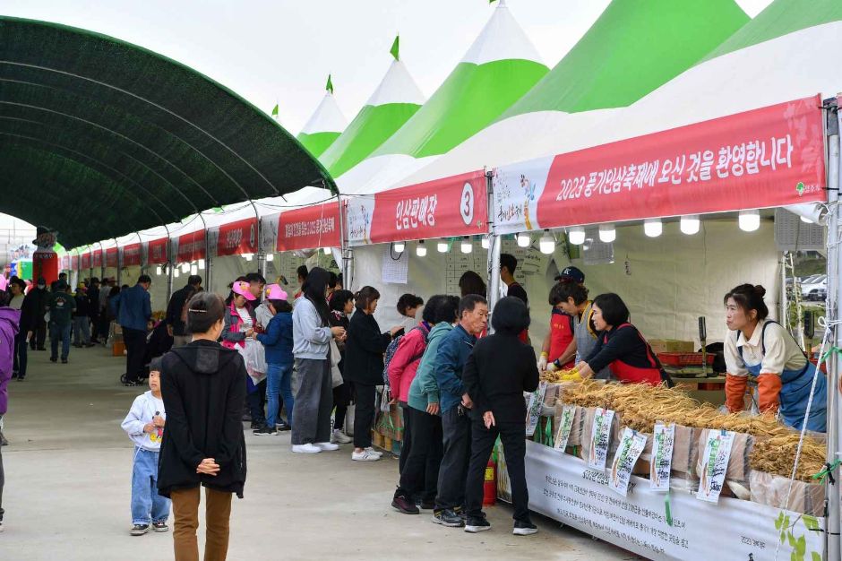 경북영주 풍기인삼축제 관련 이미지