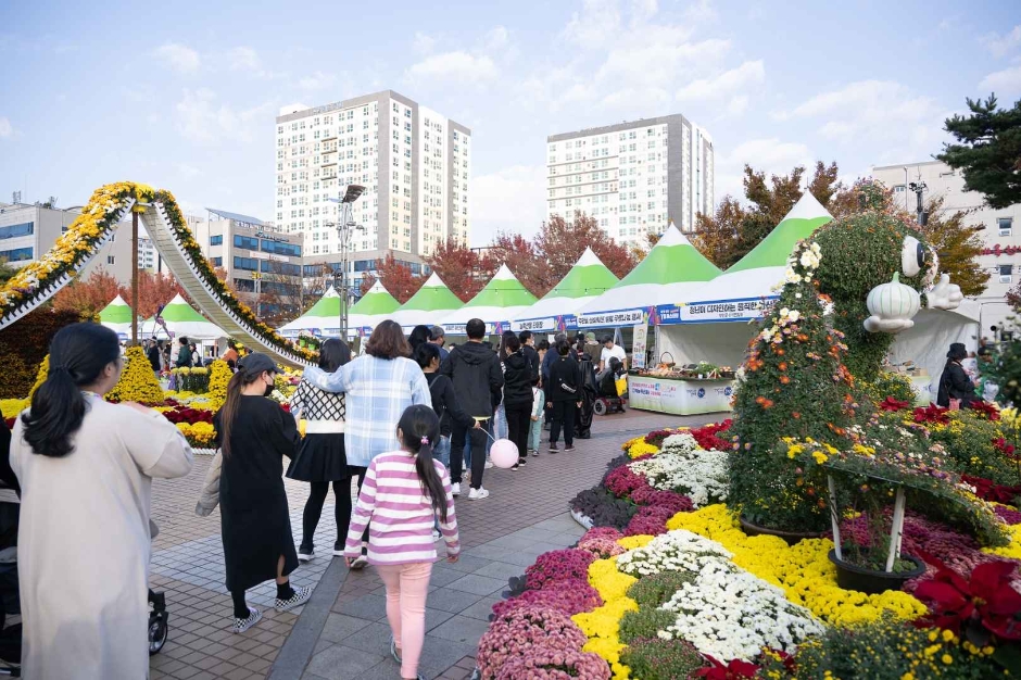 무안 YD 페스티벌