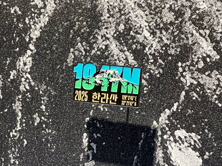 9.81파크 <981 한라산에 빠지다>