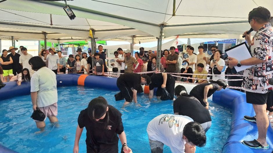사천시 삼천포항 자연산 전어축제 관련 이미지