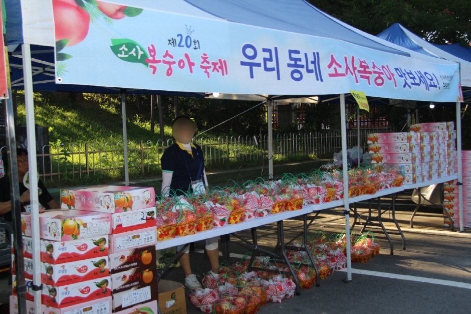 소사복숭아축제 관련 이미지 
