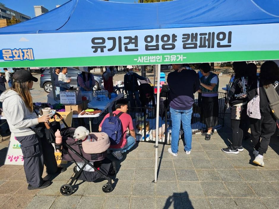 고양 동물교감치유 문화제 관련 이미지