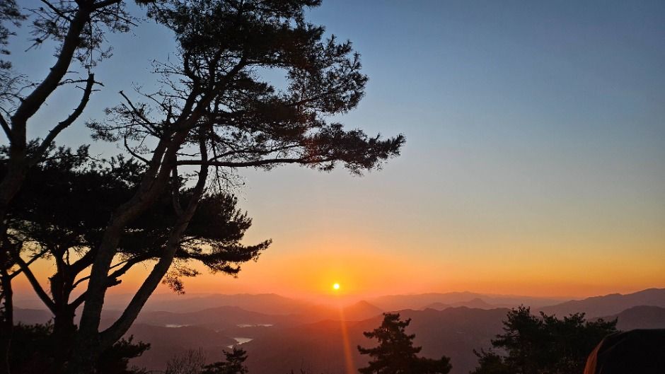 영동곶감축제 관련 이미지 