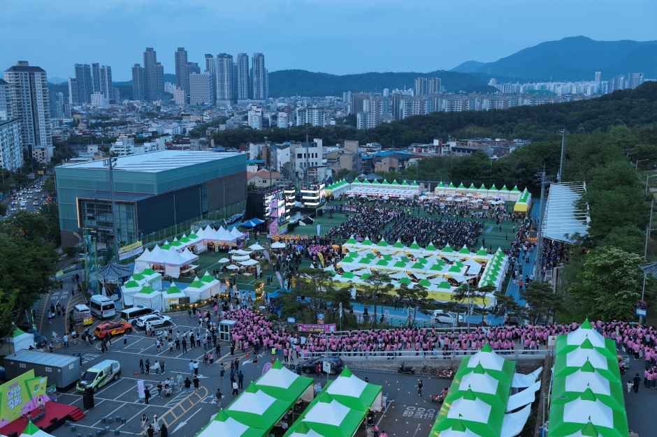 대구앞산축제 관련 이미지 