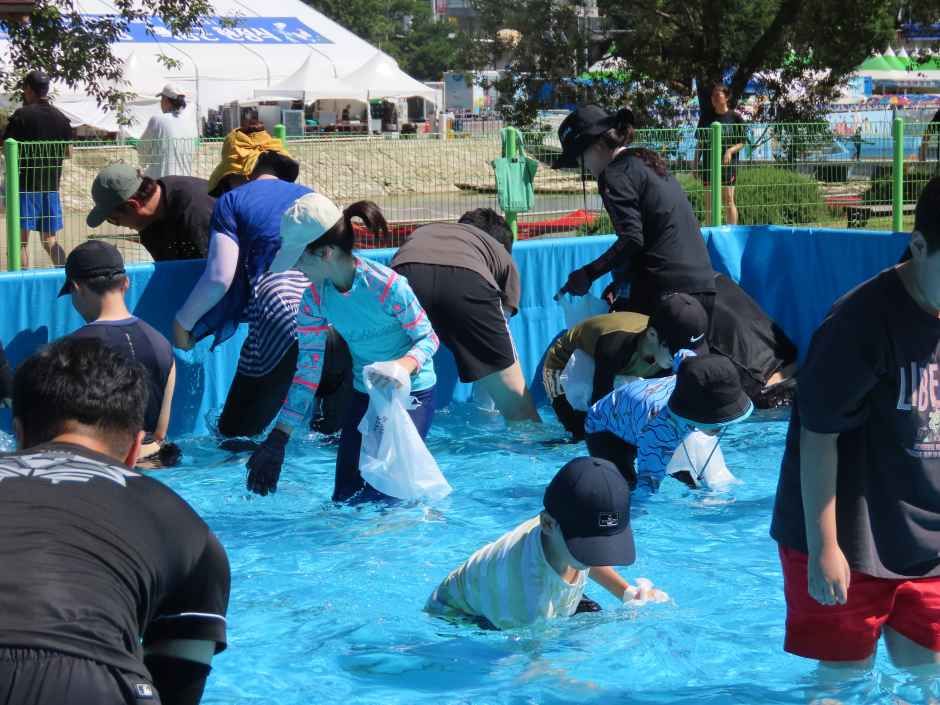 봉화은어축제 관련 이미지 