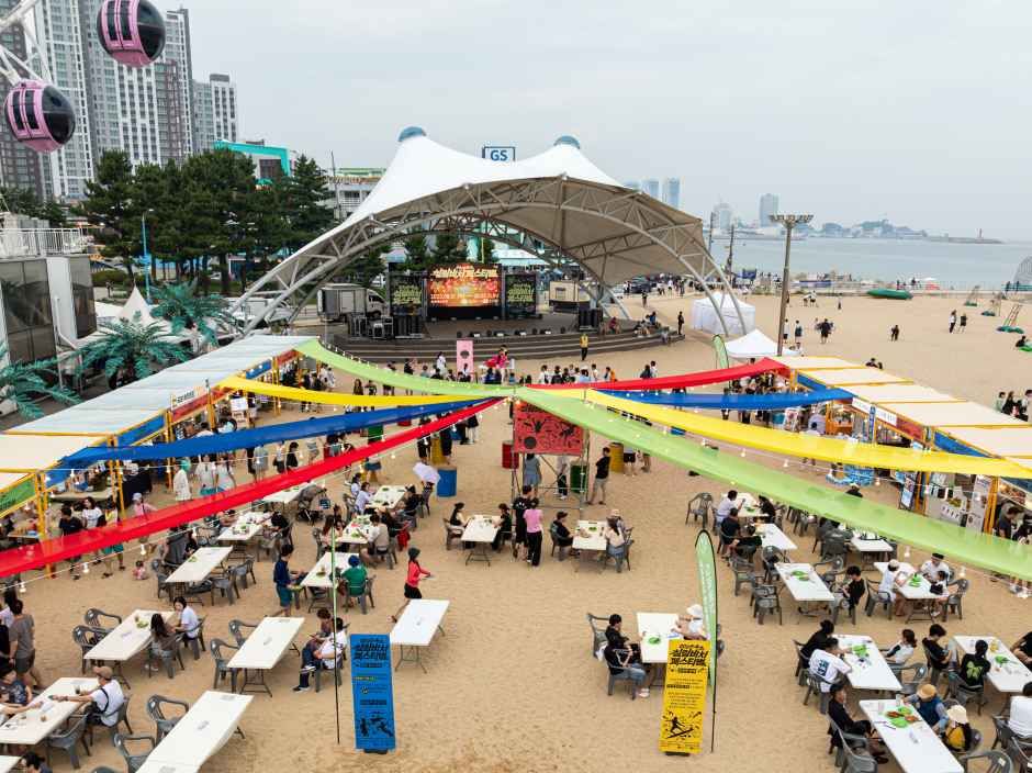 속초 썸머페스티벌 관련 이미지 