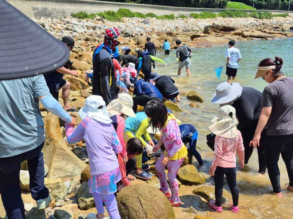 거문도백도 은빛바다체험행사 관련 이미지 