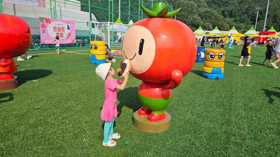둔내고랭지토마토축제 관련 이미지 