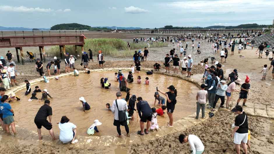 무안 황토 갯벌축제 관련 이미지 
